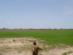 Il Parco di Waza, al confine con il Ciad.
Ho sperimentato l'infinito.