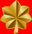 O 4 insignia 1