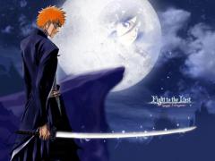 bleach1lq1