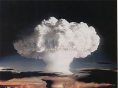 Fungo atomico