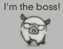 I'm the boss!