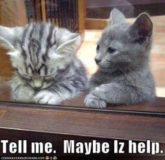 "funny pictures kitten offers to help sad friend"
altra foto geniale di lolcats.