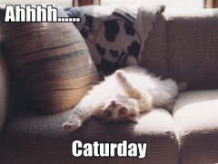 ahhhh caturday