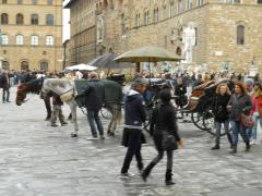 101_-_(Firenze)_Piazza_del_Nettuno.jpg