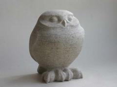 Little-Owl.jpg