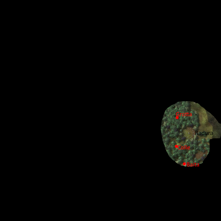 ForestMap1.png