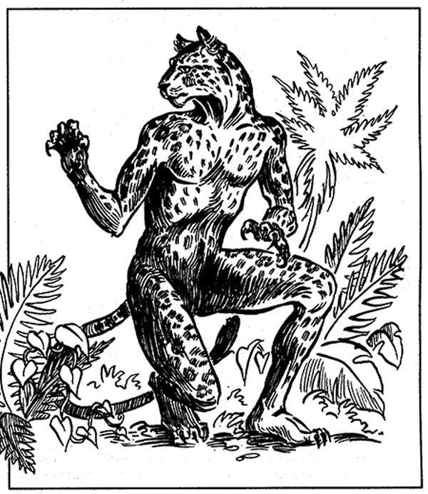 tabaxi02.jpg