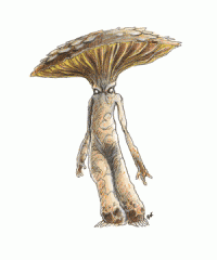 myconid.gif