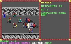 13. Virtual Drider 1988 - Pool of Radiance.jpeg