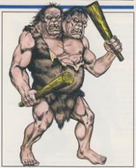 6. Ettin 1993 - Monstrous Manual.jpeg