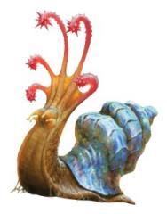 FlailSnail.jpg