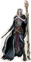 aravashnial.png