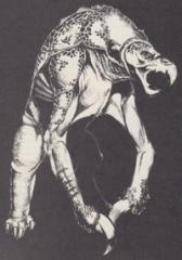 4. Hook Horror (1988) - Dragon 131.jpg