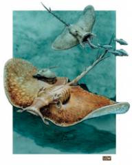 8. Ixitxachitl (2002) - Monster Manual II.jpg