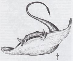 13. Ixzan (1995) - The Night Below.jpg