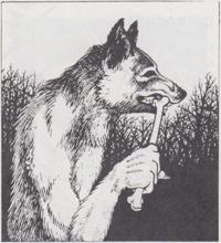 1. Jackalwere (1977) - Monster Manual.jpg