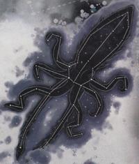 19. Kraken constellation (2006) - Dragon 340.jpg