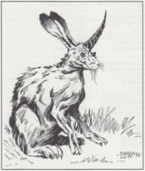 2. Al-mi'raj (1992) - MC14 Monstrous Compednium Fiend Folio Appendix.jpg