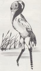 4a. Eblis (1983) - EX2 The Land Beyond the Magic Mirror.jpg