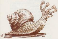 9a. Flail Snail (1999) - Dragon 258.jpg