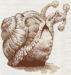 9c. Flail Snail (1999) - Dragon 258.jpg