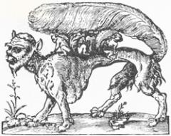 28. Su-monster (1969) - Fantastic Beasts.jpg