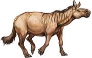 PZO1140-Eohippus_180.jpeg