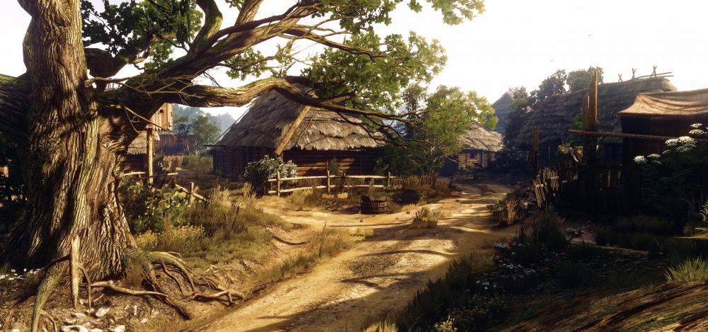 5a26f1d27222d_Little-village-Witcher-3.thumb.jpg.2c783e3840a4e68d3c7ada5f16066adb.jpg