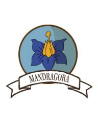 Mandragora