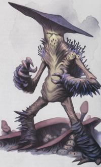 27. Sovereign Basidia (2015) - Out of the Abyss.jpg