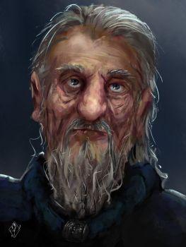 old_wizard_by_jjpeabody-da9buz0.jpg.fd53d362d08236142c814afcd1957f4b.jpg