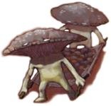 16. Myconid (2002) - Dragon 292.jpg