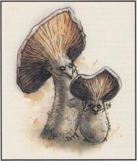 32. Campestri (1994) - Monstrous Compendium Annual Volume 1.jpg