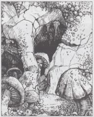 34. Myconid (1995) - Elminster's Ecologies Appendix II.jpg