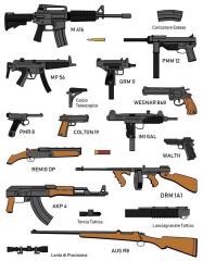 Armi da Fuoco Comuni