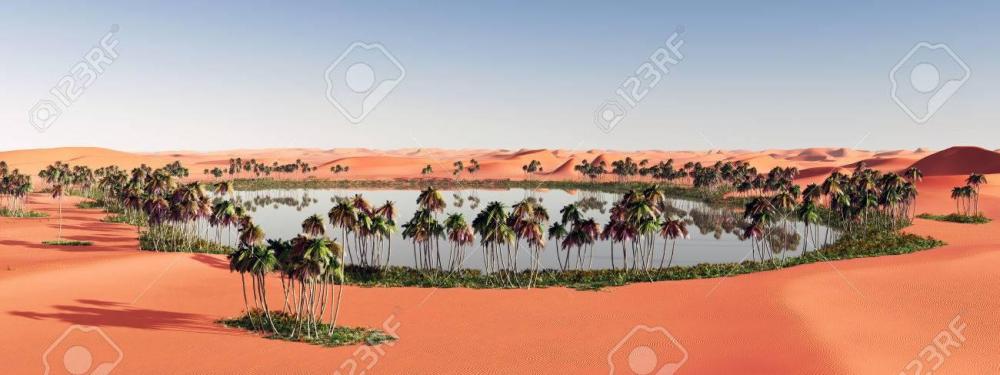 49191431-oasis-in-the-desert.thumb.jpg.d7704314ea2c1a6d96626bc06c93f3b2.jpg