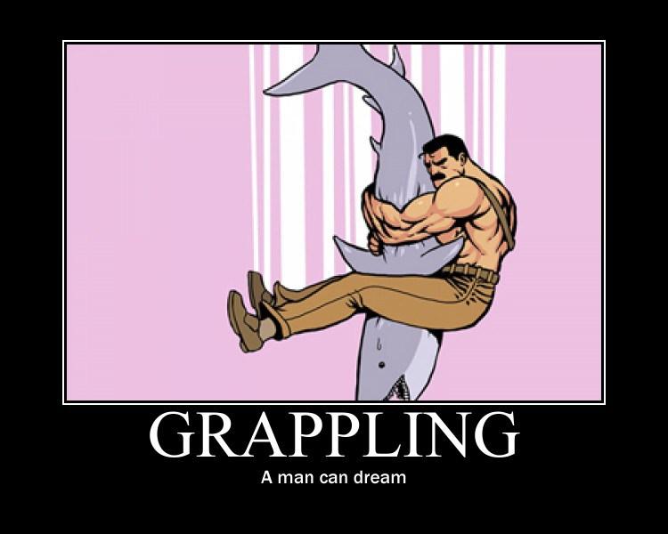 Grappling-shark.jpg.d0209f7daa0aabcc9ddecce510915c09.jpg