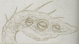 18. Otyugh (2014) - Monster Manual.jpg