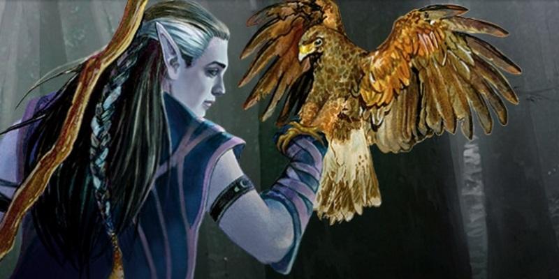 Druid-moon-elf-5e.jpg