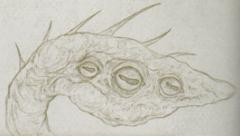 18. Otyugh (2014) - Monster Manual.jpg