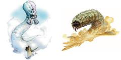 21. Frost Worm (2000) and Dunewinder (2005) - Monster Manual and Sandstorm.jpg