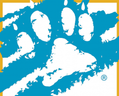 Screenshot 2018-11-16 at 17.48.51.png