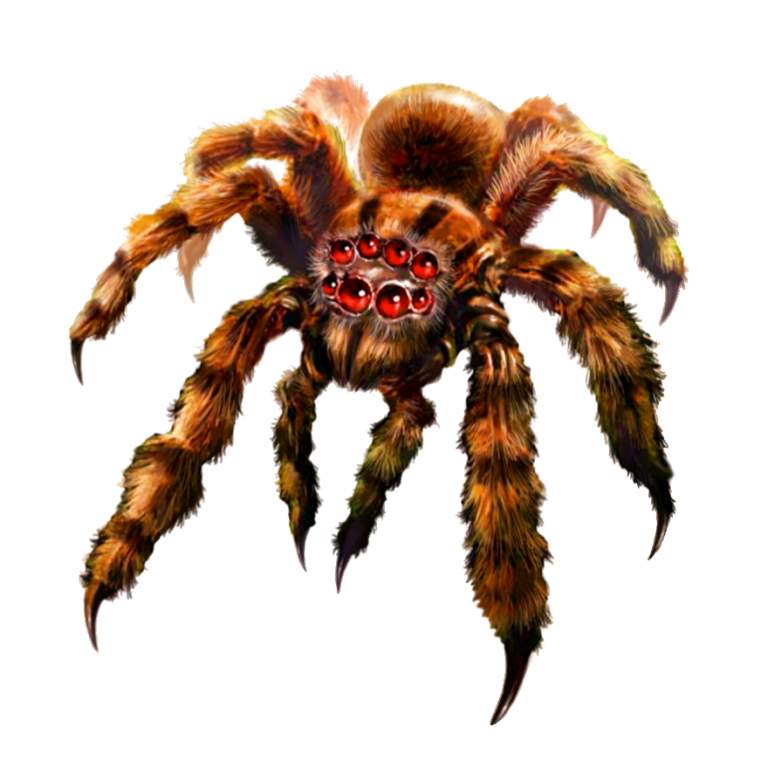 giant-spider-768x768.png