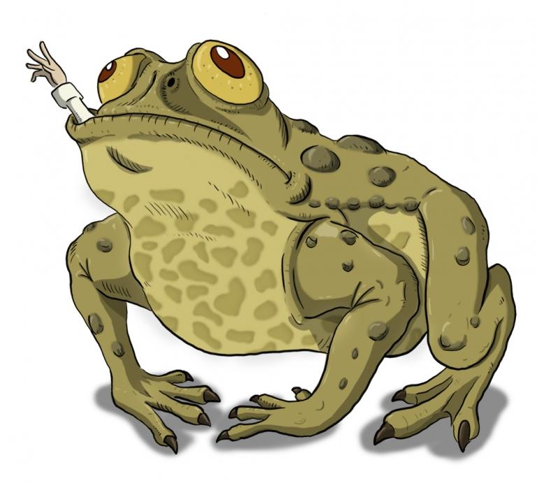 giant_toad-768x691.jpg