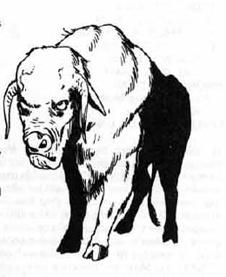 strench-kow.jpg
