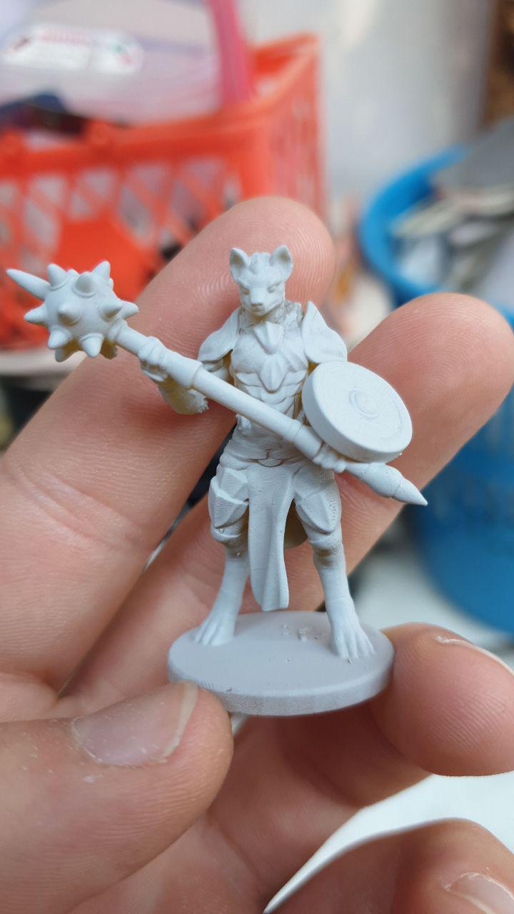Miniature su richiesta per le vostre sessioni