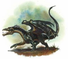 black-dragon-wyrmling-768x671.jpg