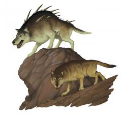 dire-wolf.jpg