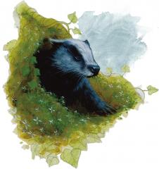 giant-badger.jpg