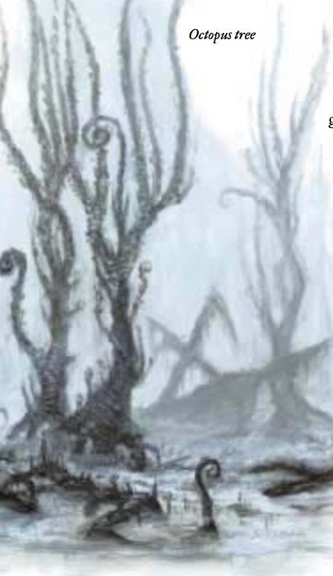 octopus-tree-dnd-weirdo.jpg